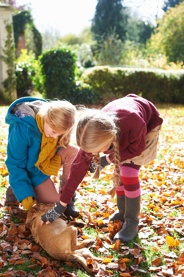 Girls petting dog in autumn leaves