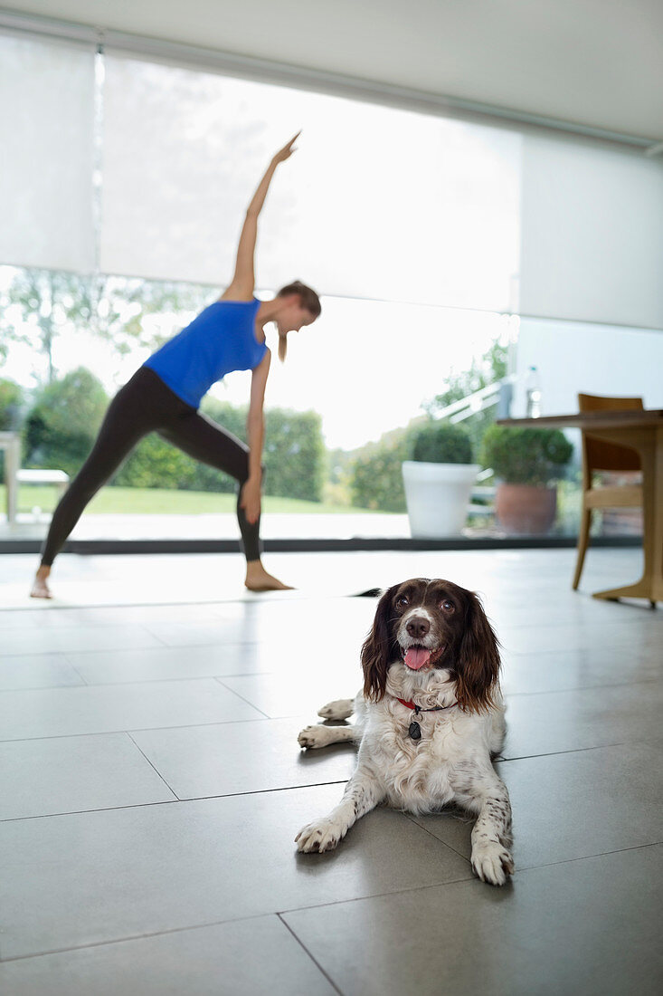 Dog with woman practicing yoga
