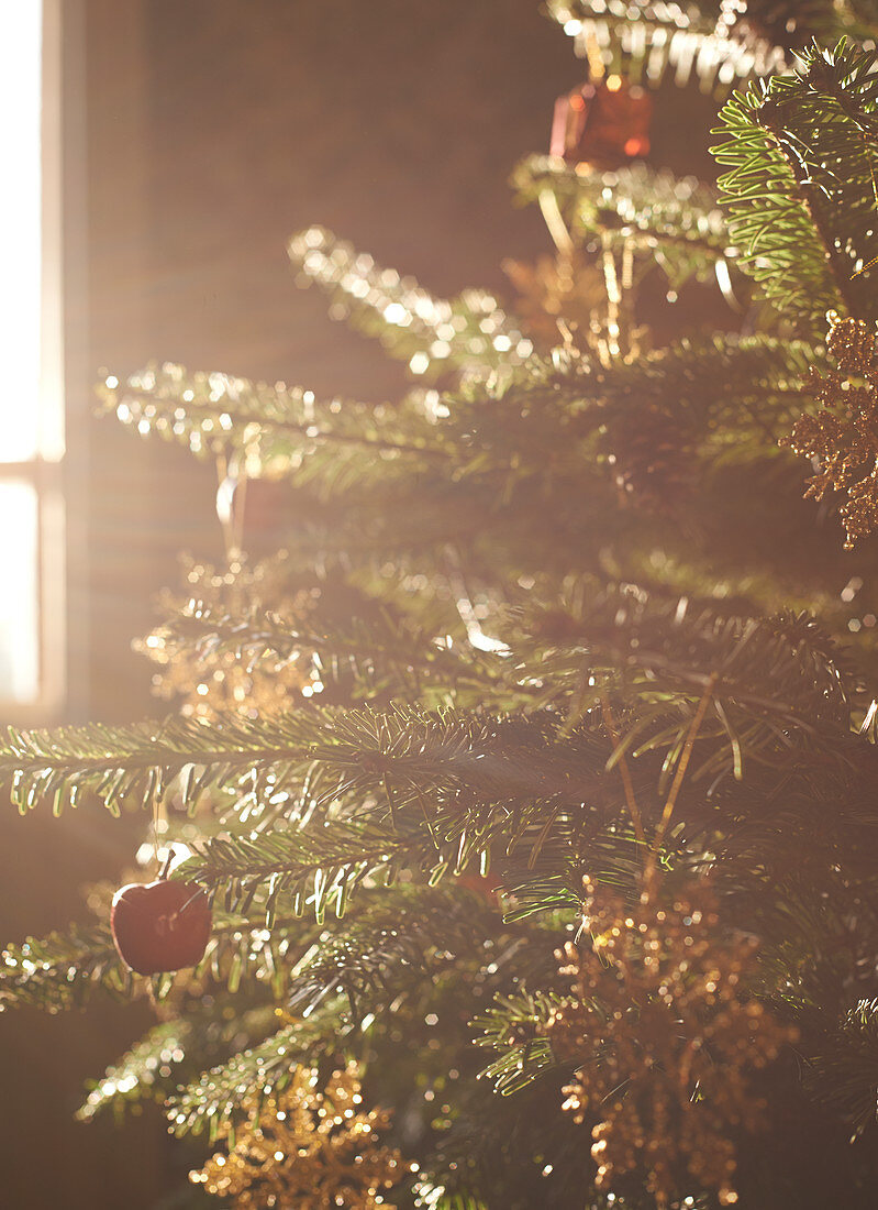 Close up of decorated Christmas tree