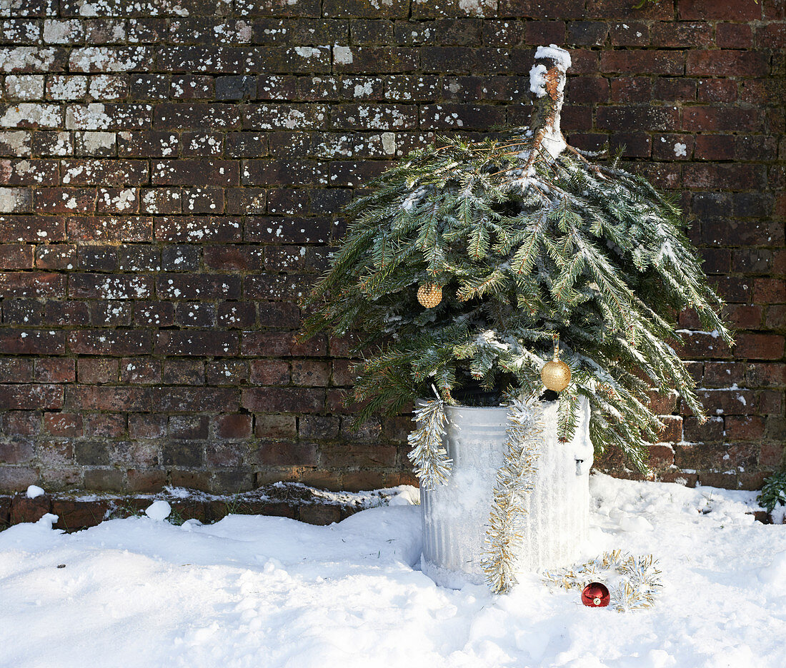 Christmas tree in trash can outdoors