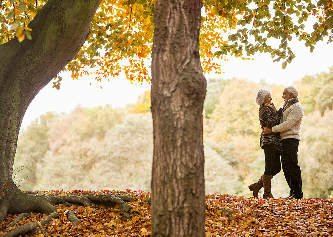 Older couple hugging in park