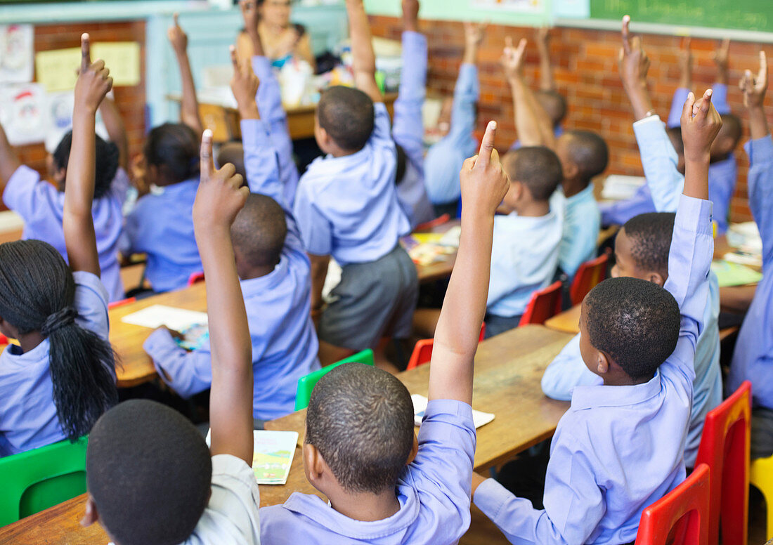 Students raising hands in class