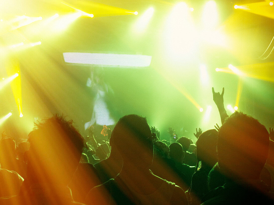 Silhouetted fans facing illuminated stage