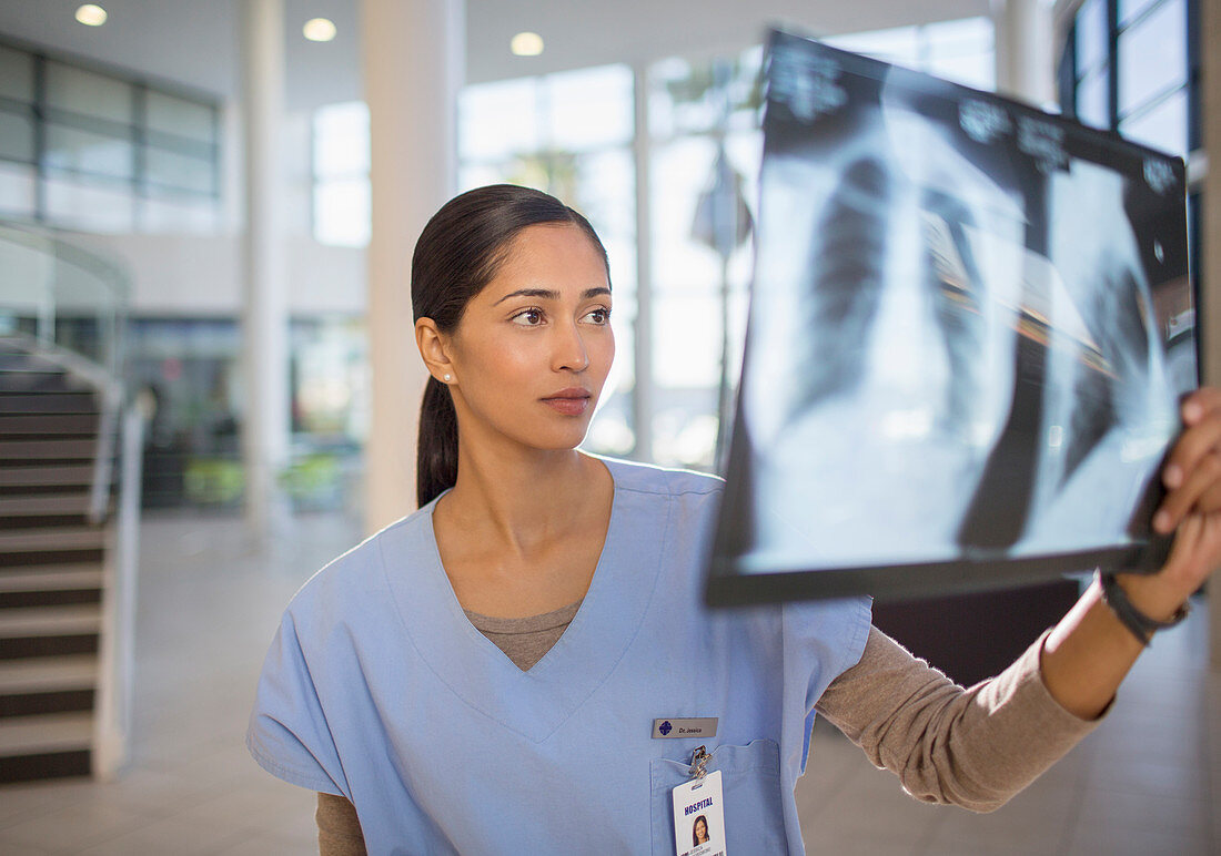 Nurse examining chest x-rays in hospital