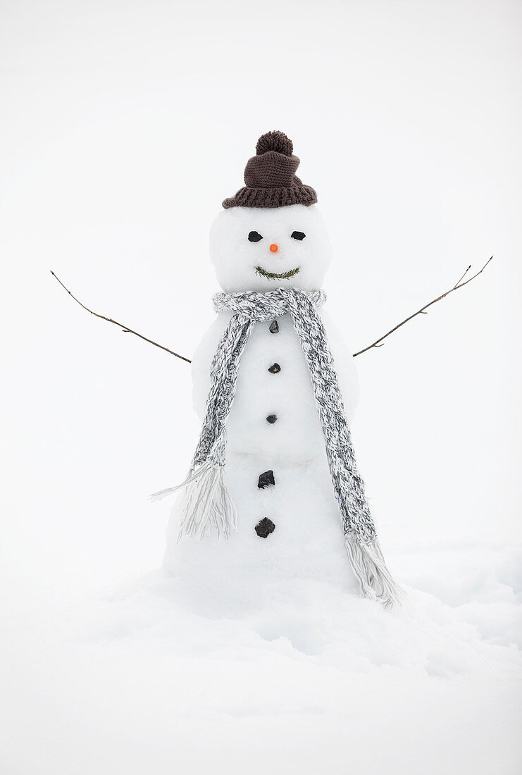 Snowman wearing knit hat and scarf