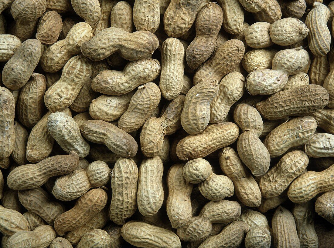 Viele Erdnüsse mit Schale (Ausschnitt)