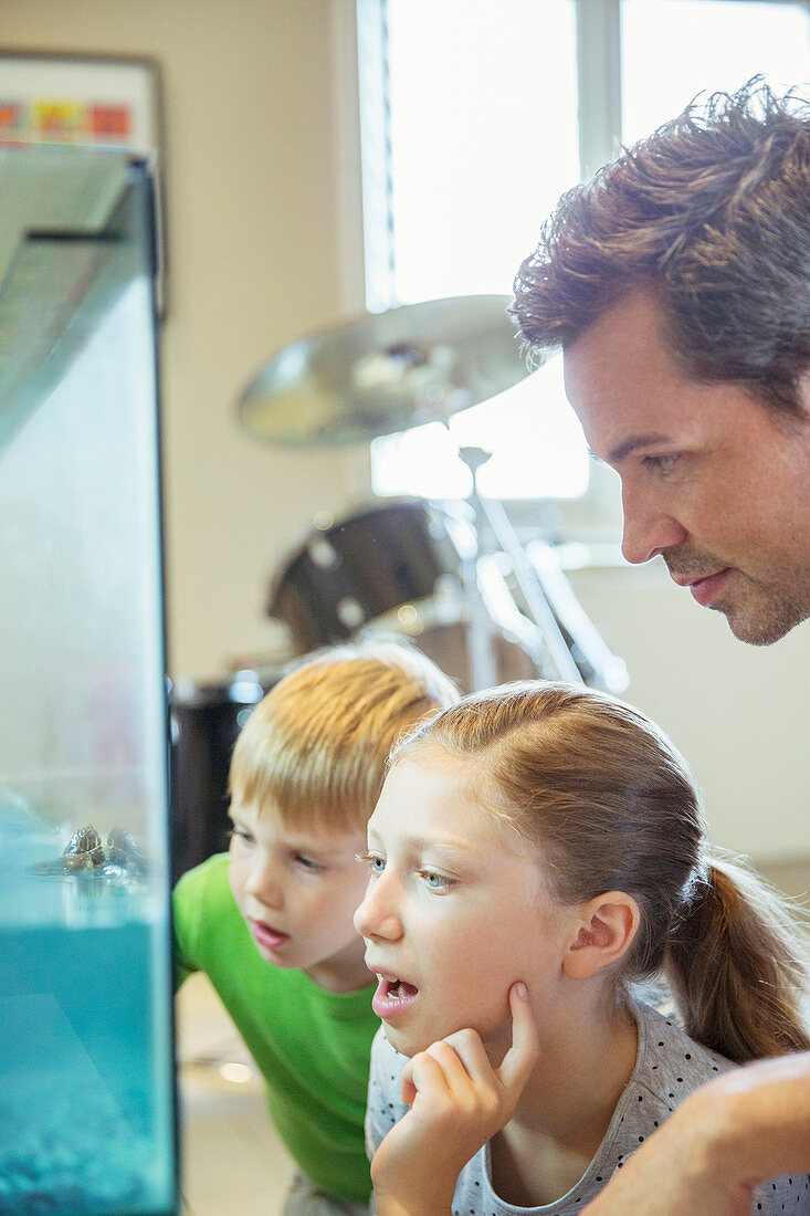 Father and children examining fish tank