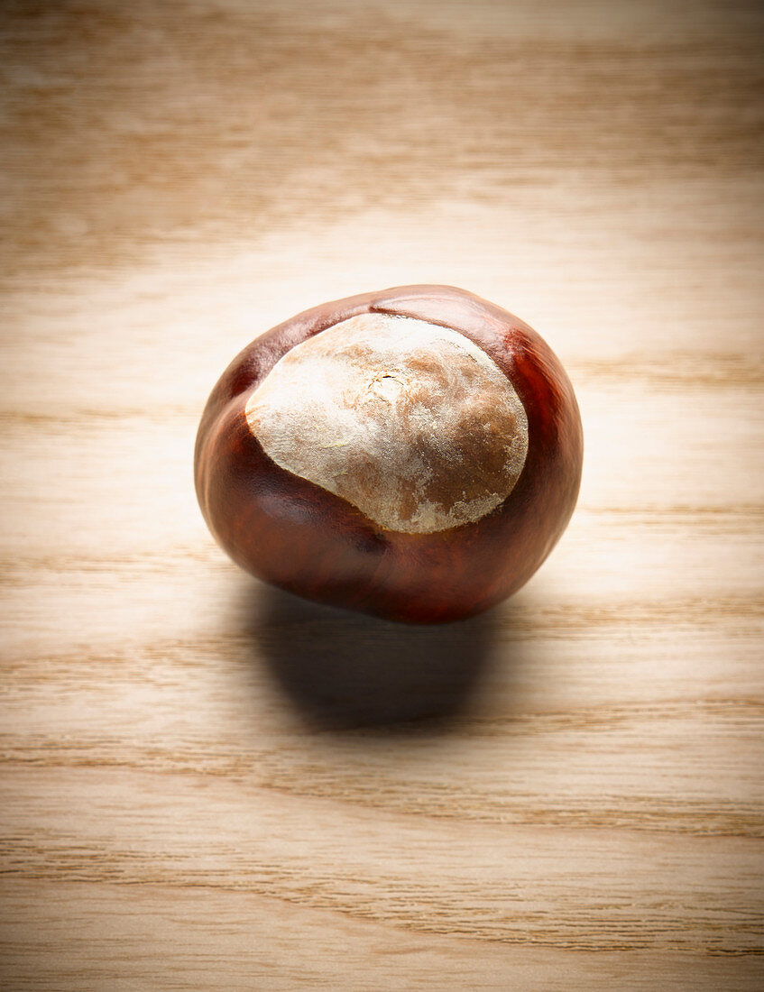 Close up of chestnut on wood surface