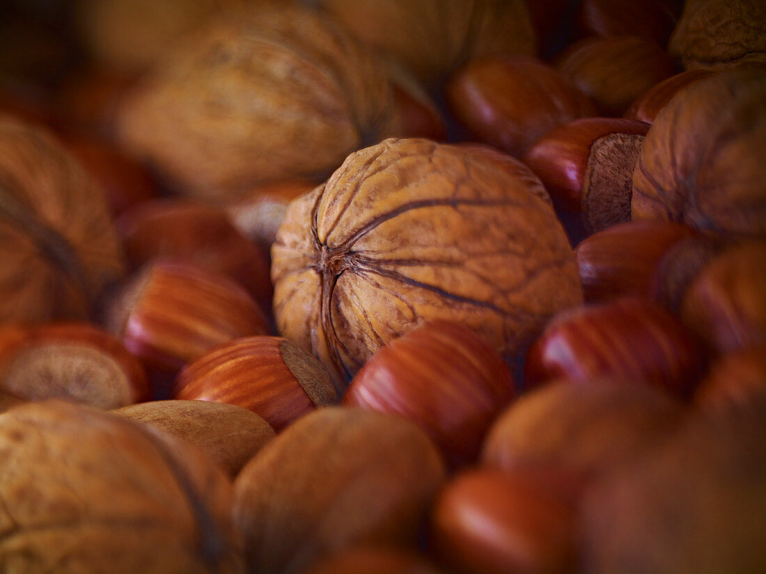 Walnuts, hazelnuts and pecans in shells