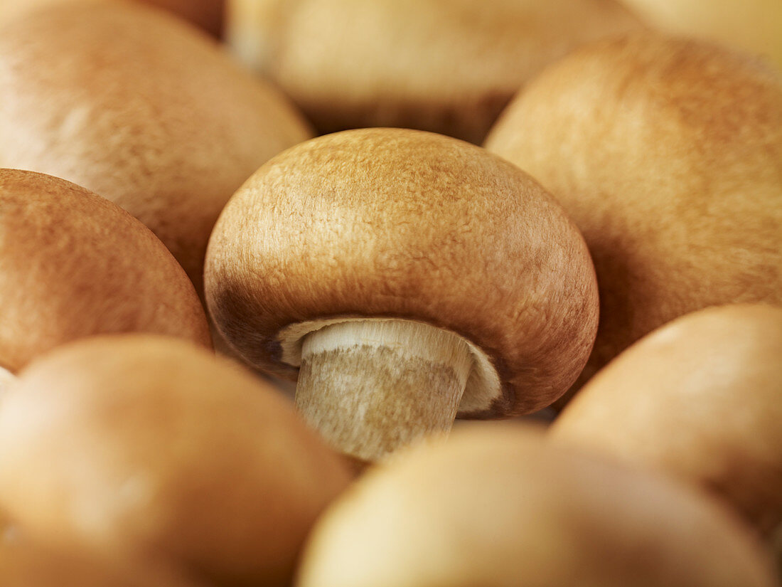 Close up of whole chestnut mushrooms