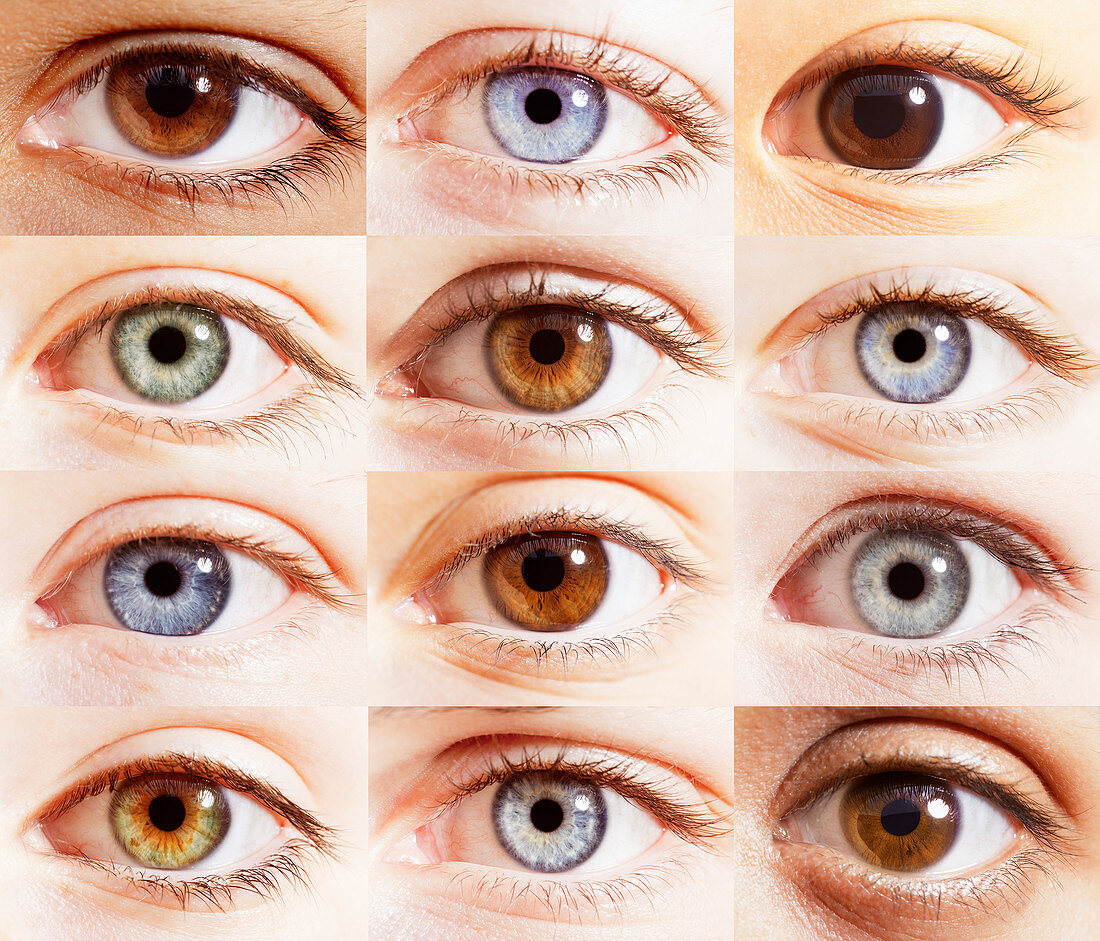 Close up of digital composite of eyes