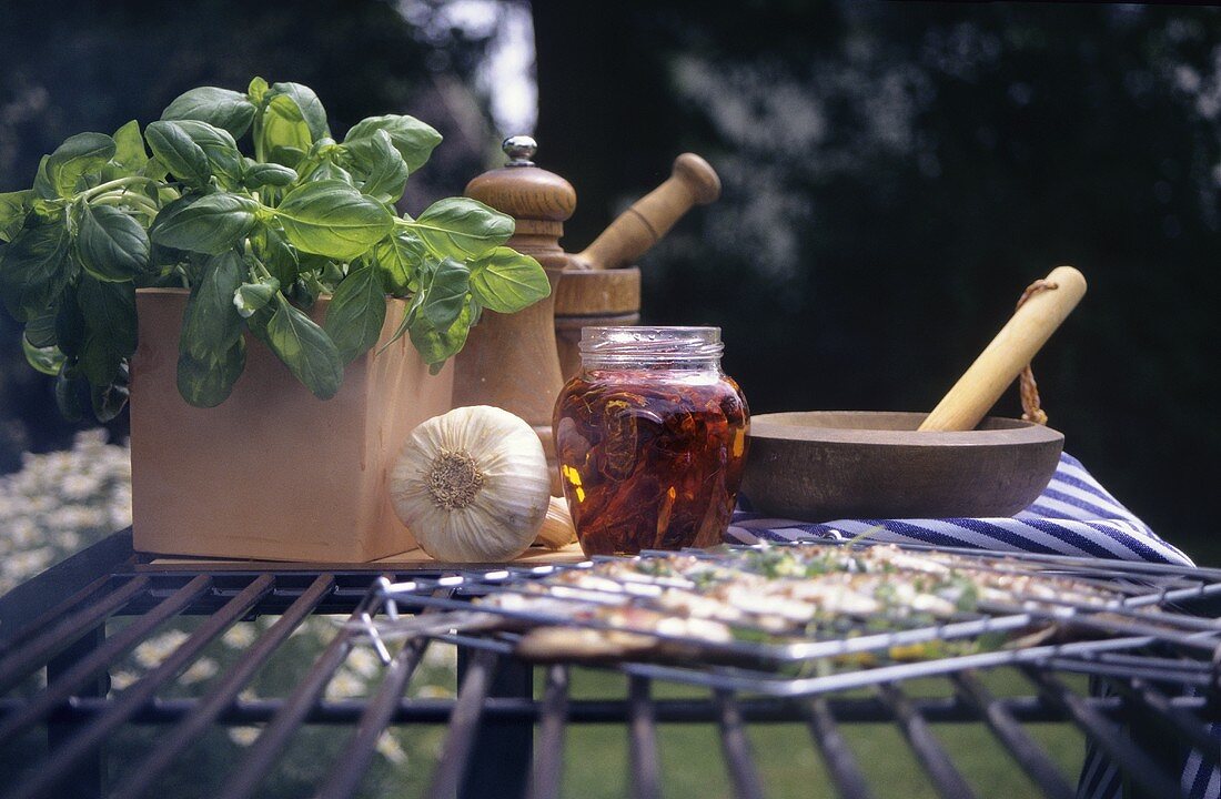 Barbecue ingredients (spices, basil, garlic) in garden