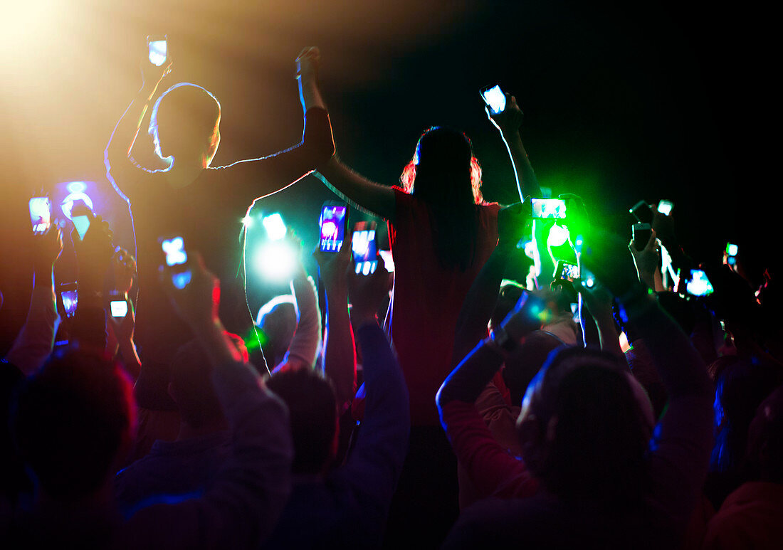 Audience enjoying concert