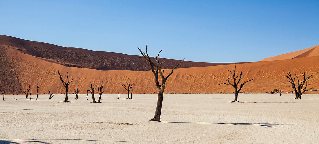 View of sunny desert