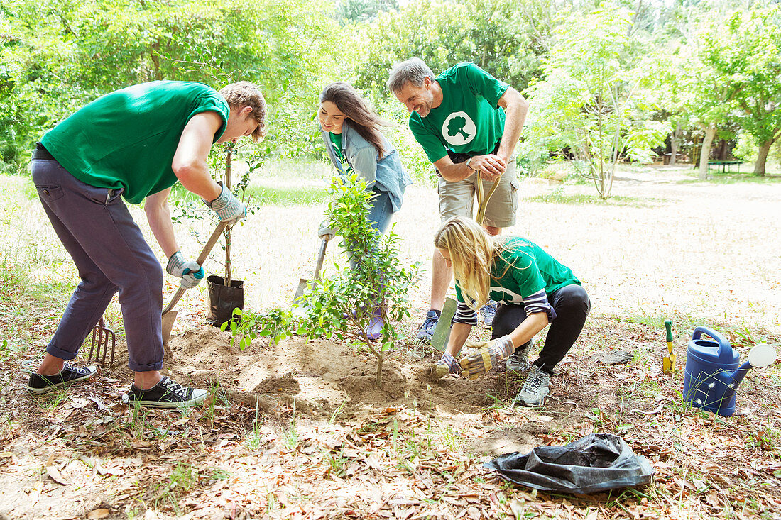 Environmentalist volunteers planting