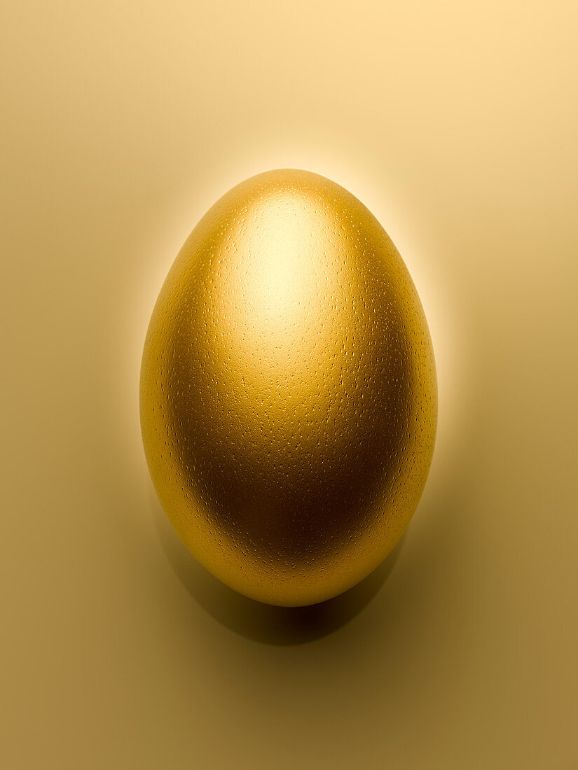 Overhead view of golden egg
