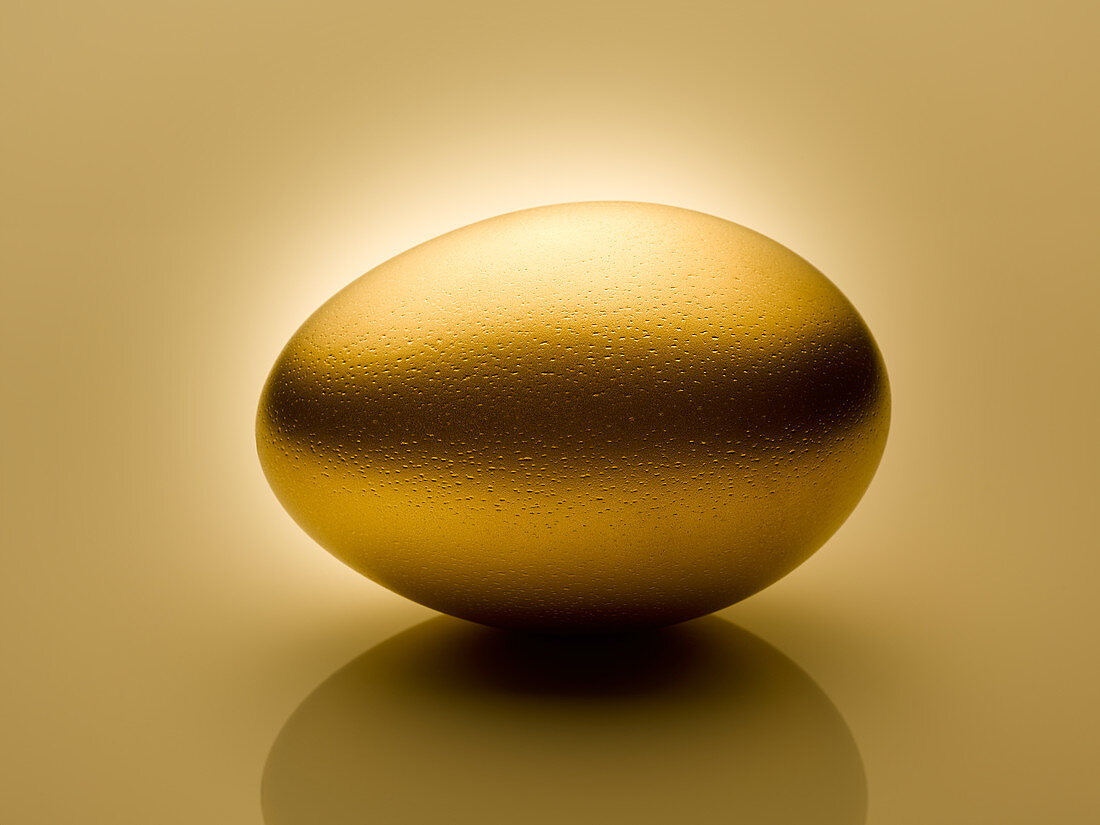 Golden egg on gold background still life
