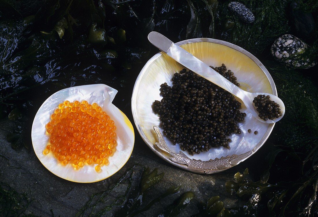 Beluga-Kaviar (Malossol= salzarm) & Keta Kaviar (Lachsrogen)