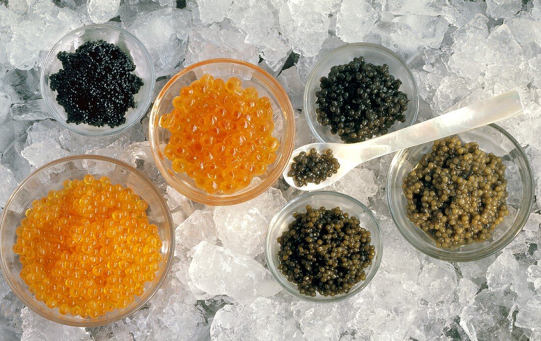 Mehrere Kaviarsorten in Glasschälchen & auf Löffel auf Eis