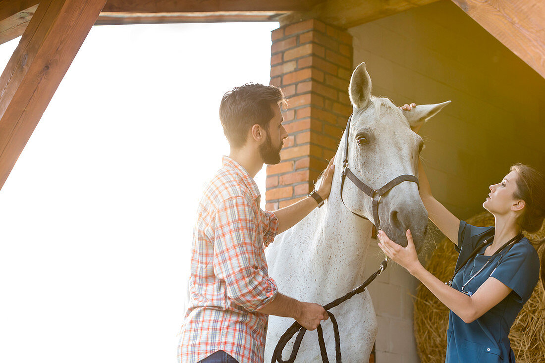 Couple petting horse in rural stable