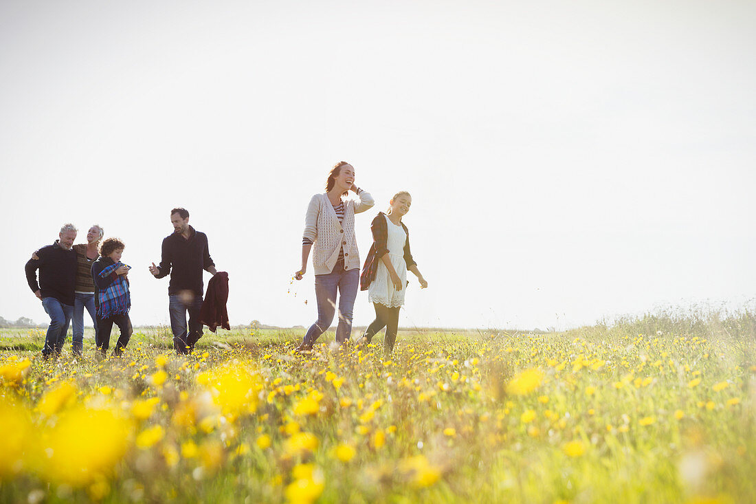 Family walking in meadow with wildflowers