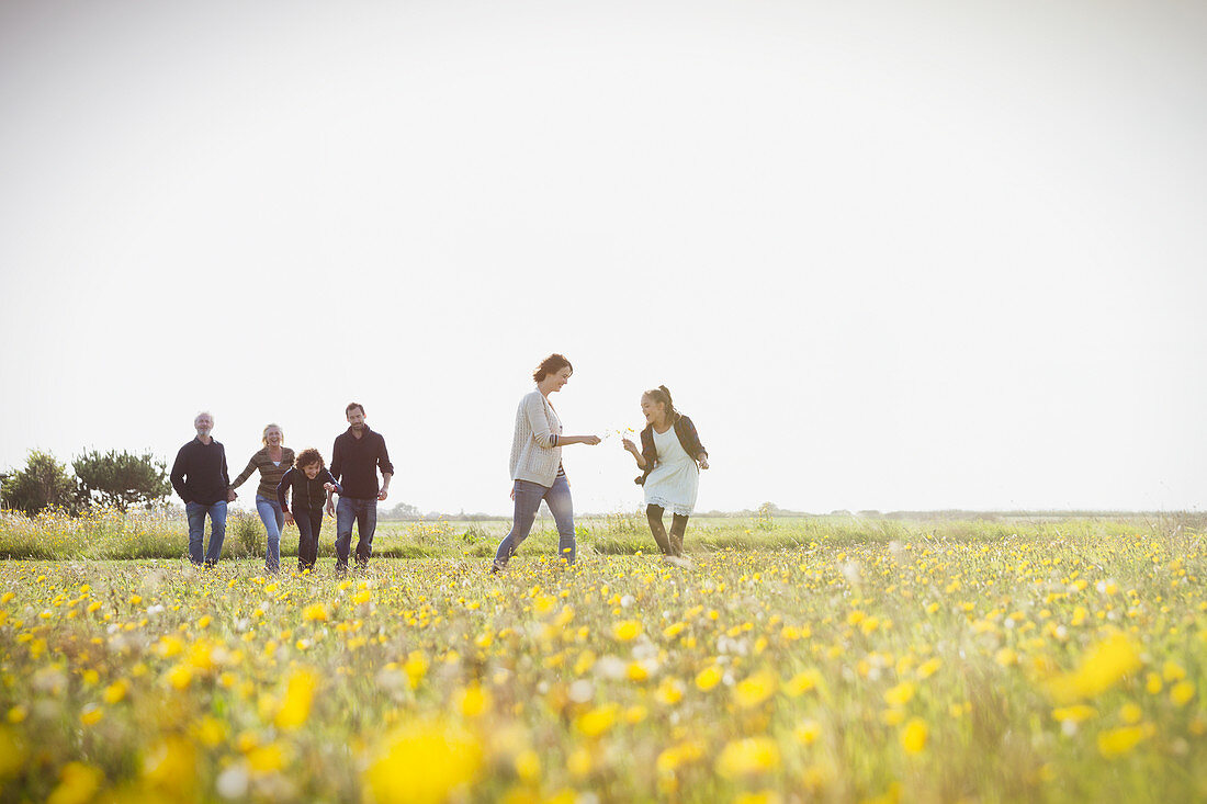 Family walking in meadow with wildflowers