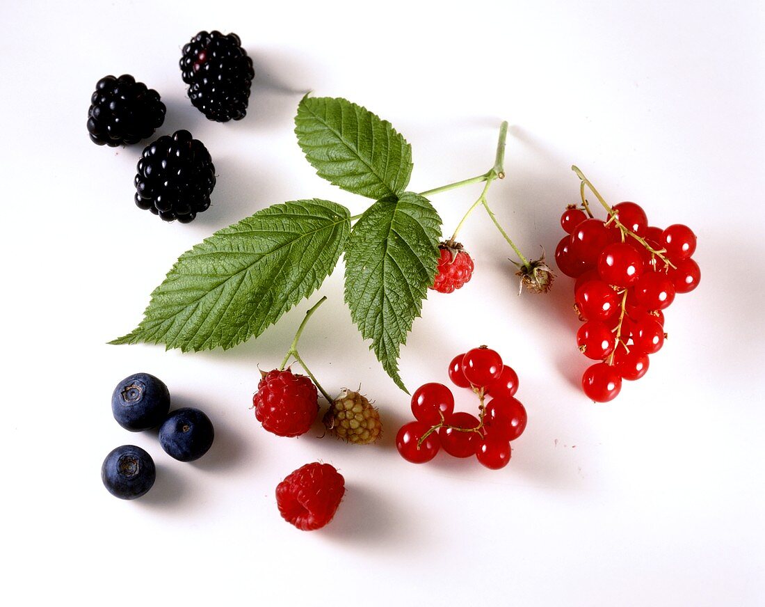 Brombeeren, Heidelbeeren, Himbeeren & rote Johannisbeeren