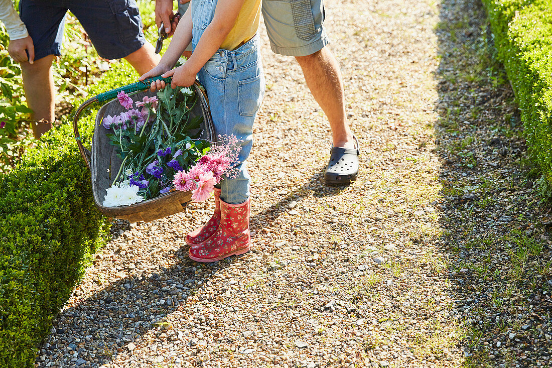 Family picking flowers in garden