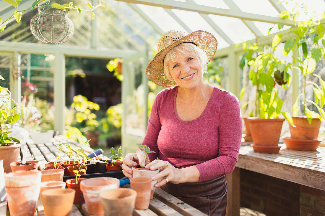 Senior woman potting plants in greenhouse