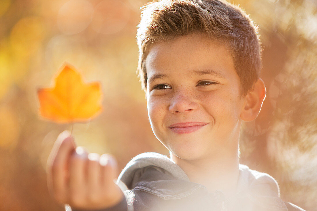 Close up boy holding golden autumn leaf