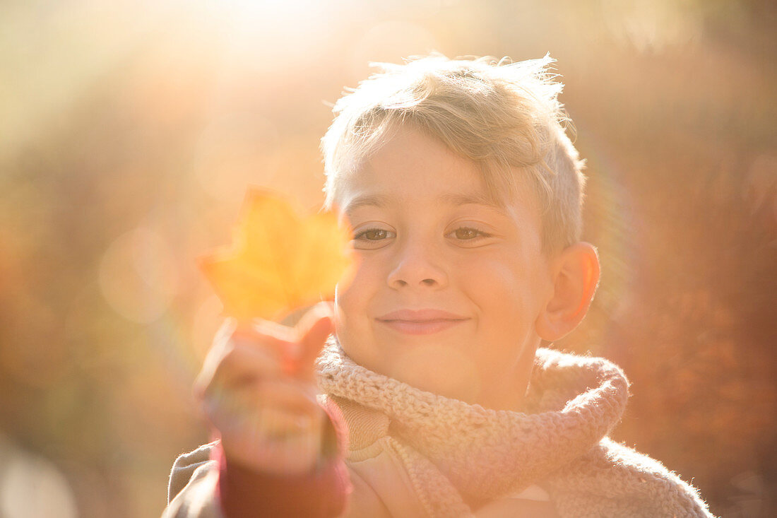 Close up Boy holding golden autumn leaf