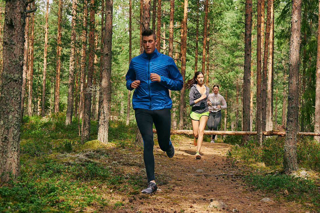 Runners running on trail in woods