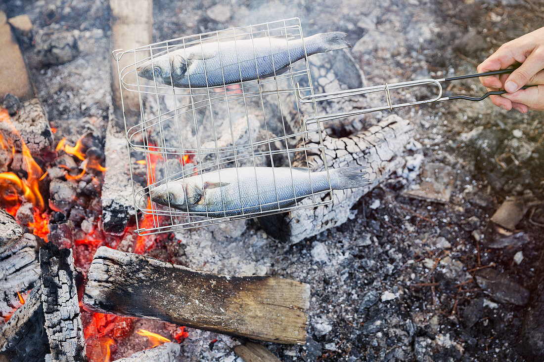 Fish cooking over campfire