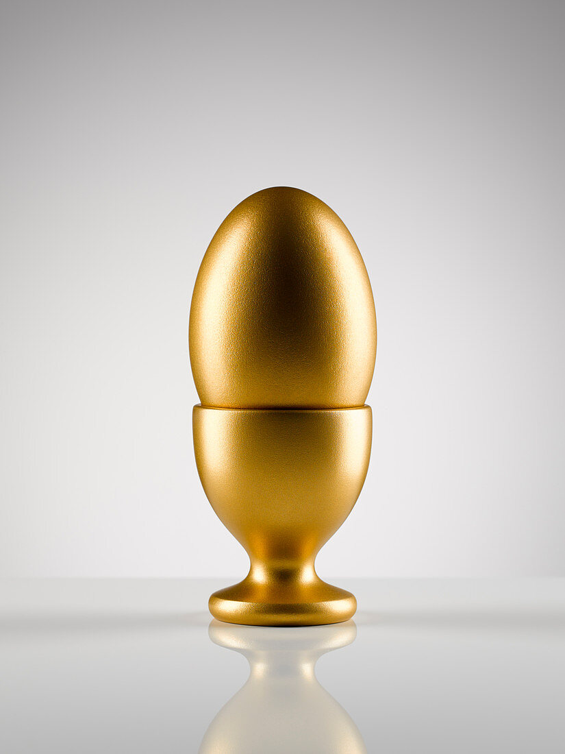 Golden egg in egg cup holder