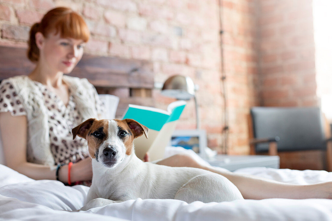 Woman reading book next to dog