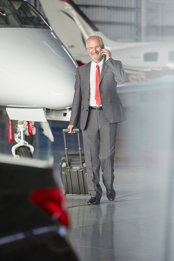 Smiling businessman pulling suitcase
