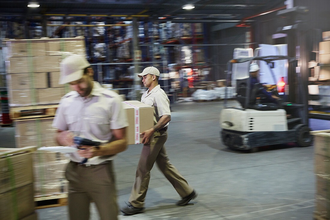 Workers carrying and moving boxes with forklift