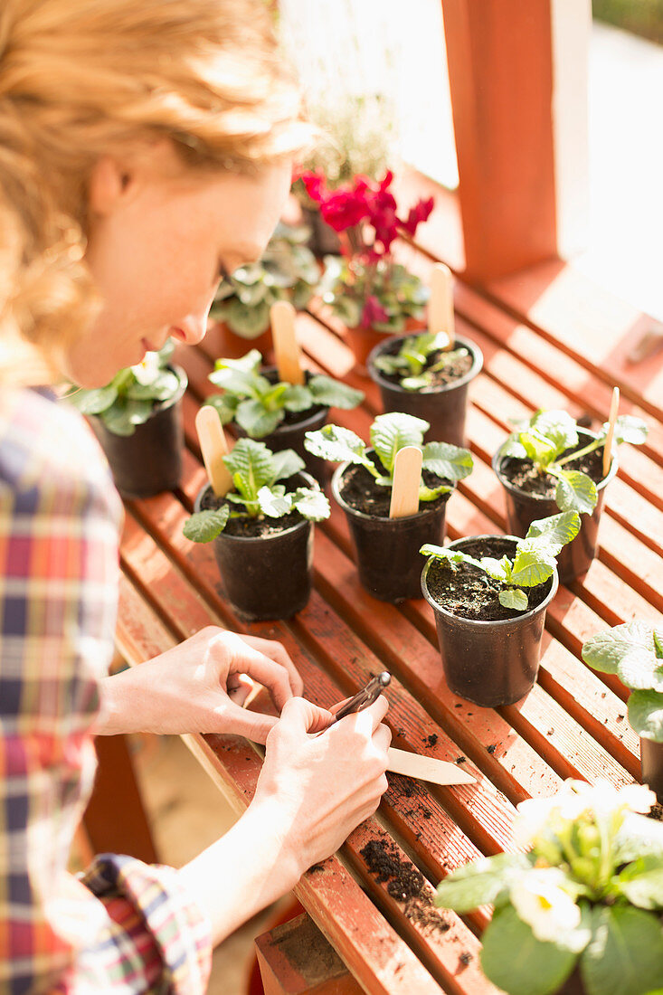 Woman writing on stick labels potting plants