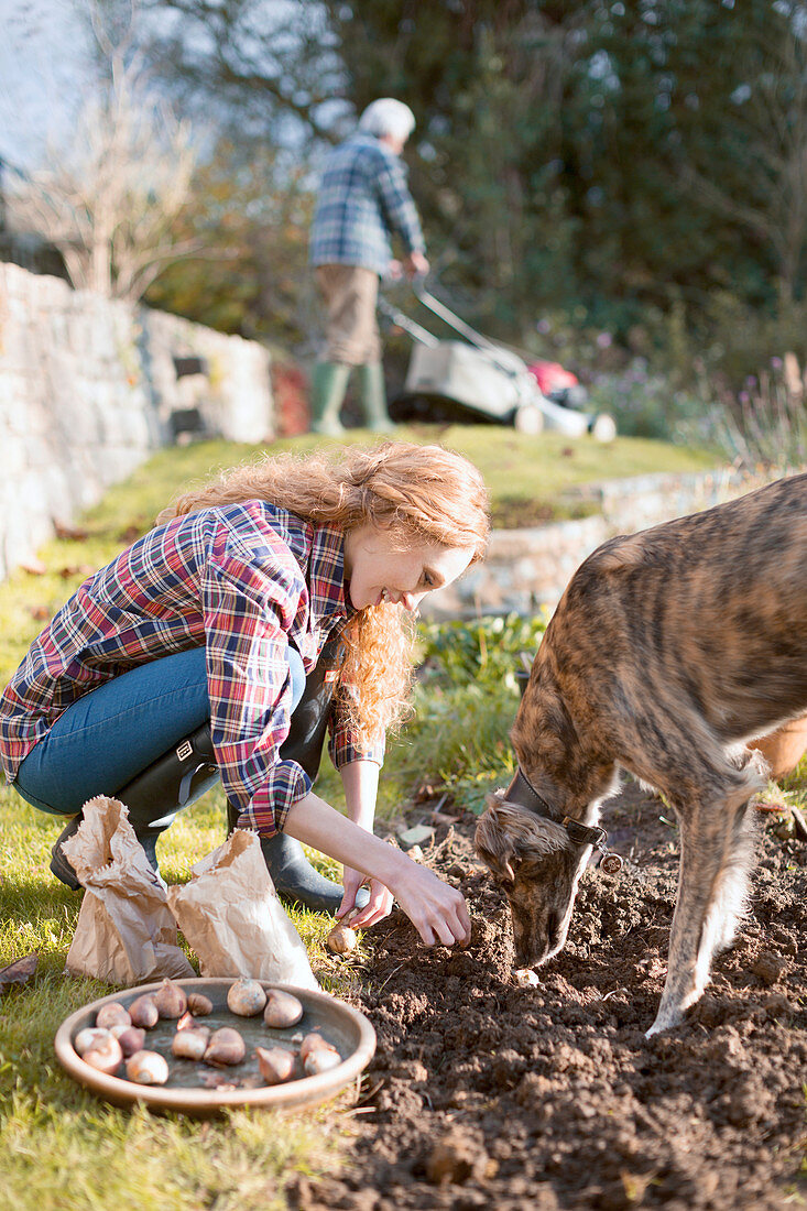 Woman with dog gardening planting bulbs in dirt