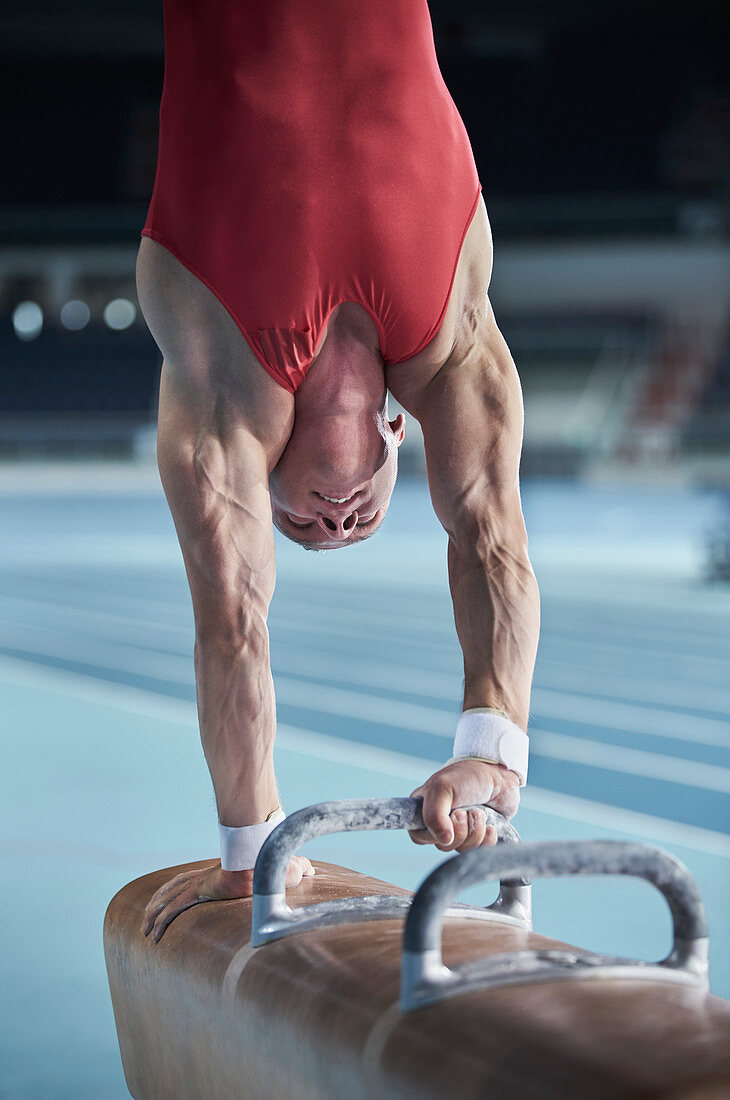 Male gymnast on pommel horse