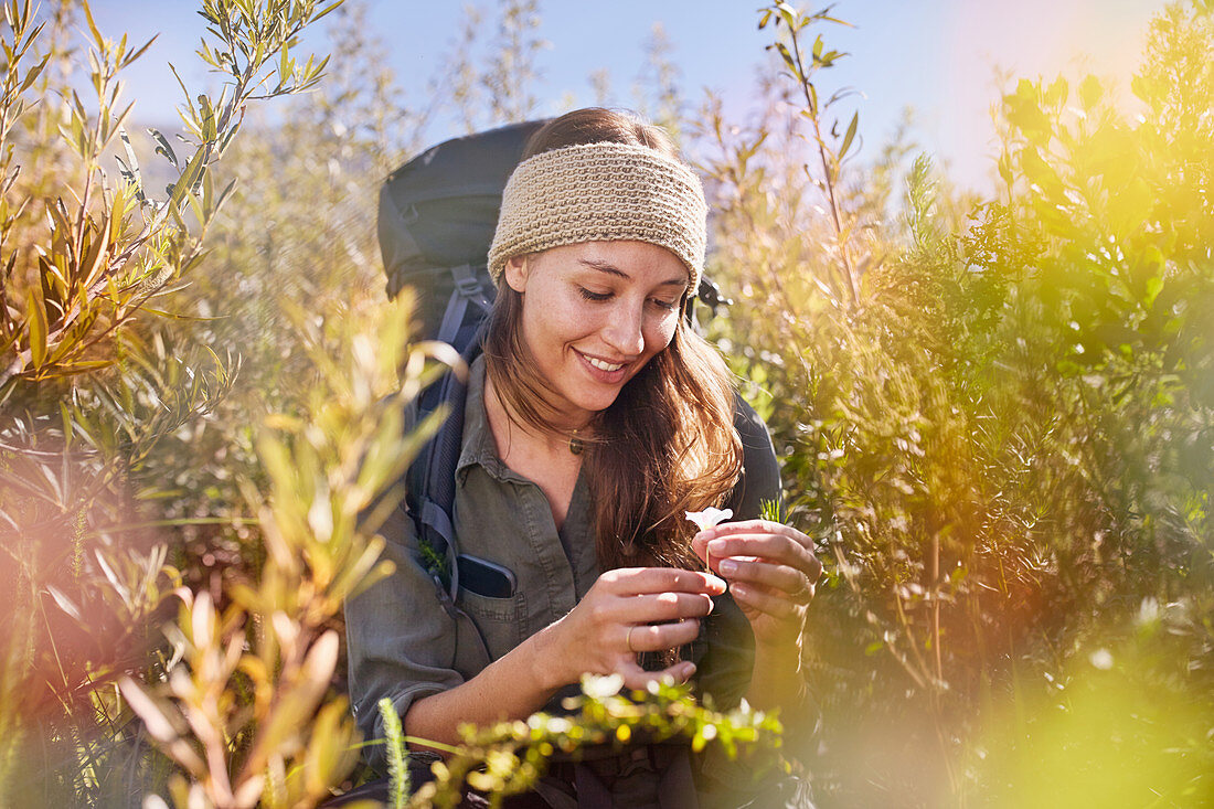 Young woman hiking, picking flower in field