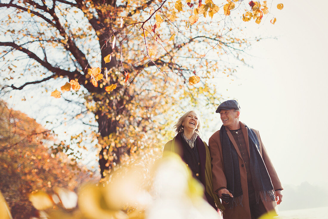 Affectionate senior couple holding hands walking