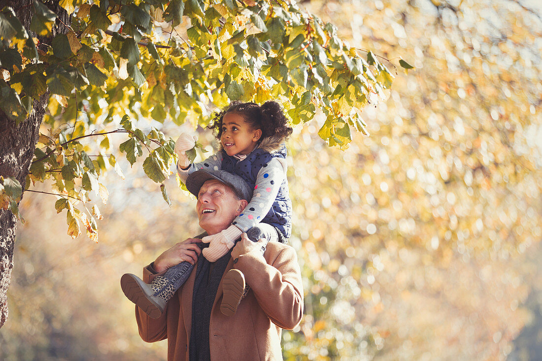 Grandfather carrying daughter on shoulders