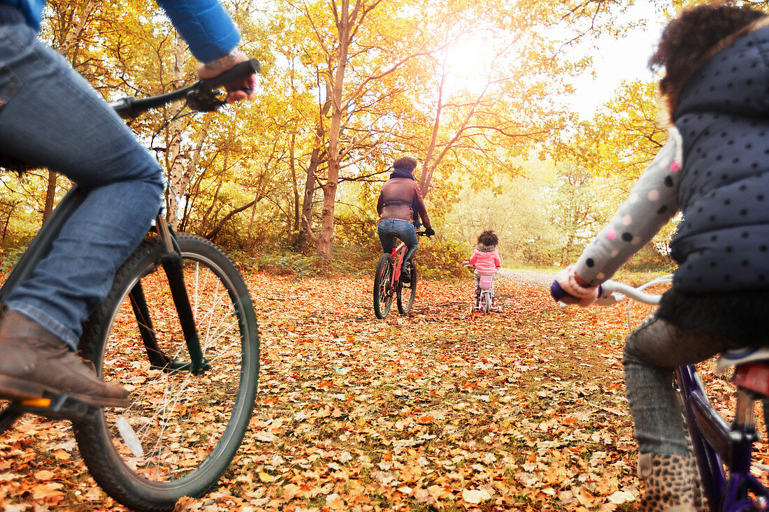 Young family bike riding in autumn woods