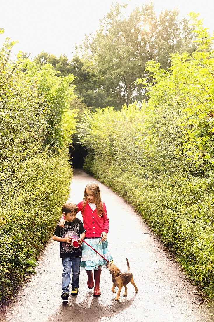 Bbrother and sister walking puppy dog