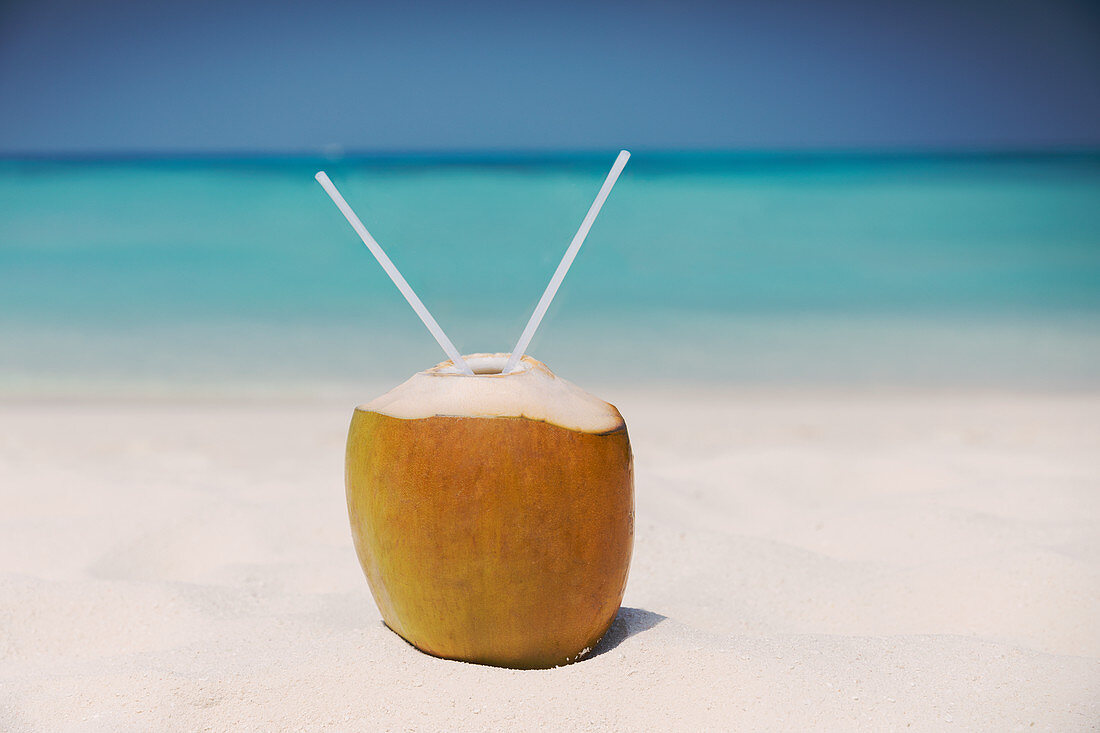 Coconut with two straws on ocean beach
