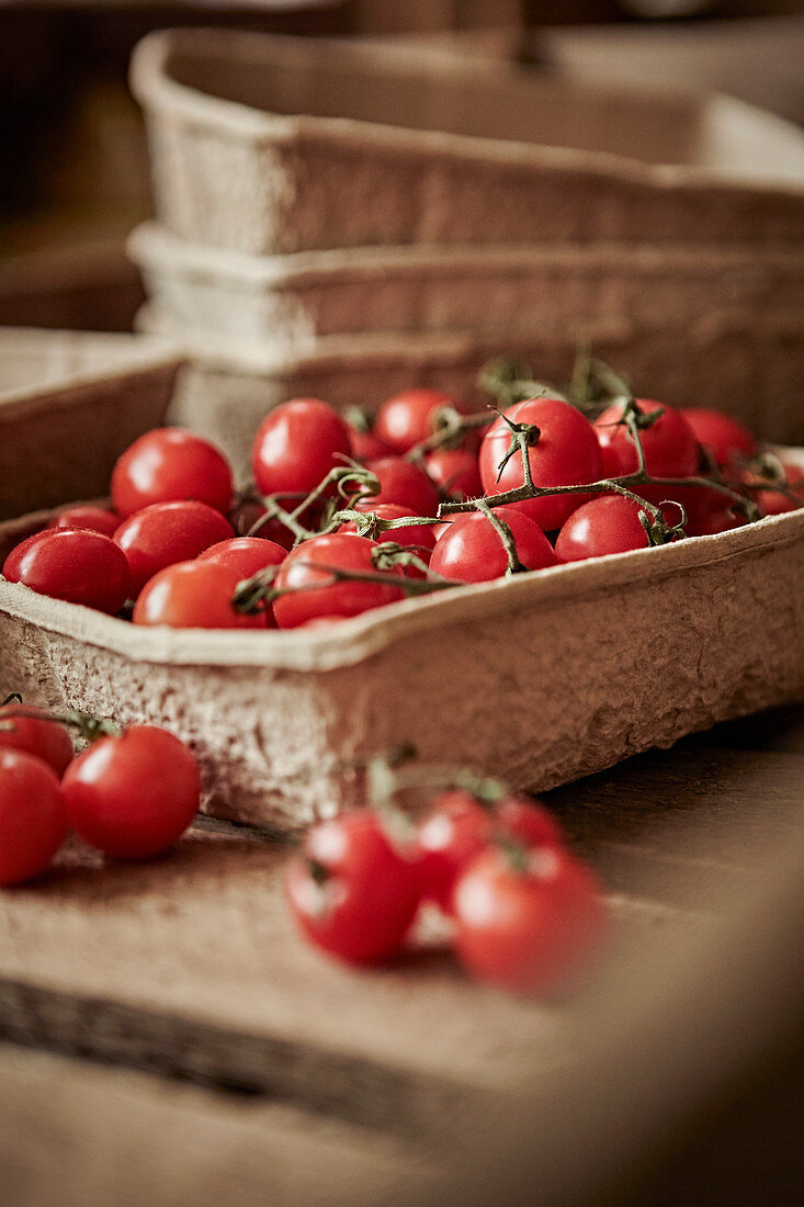 Fresh vine cherry tomatoes in container