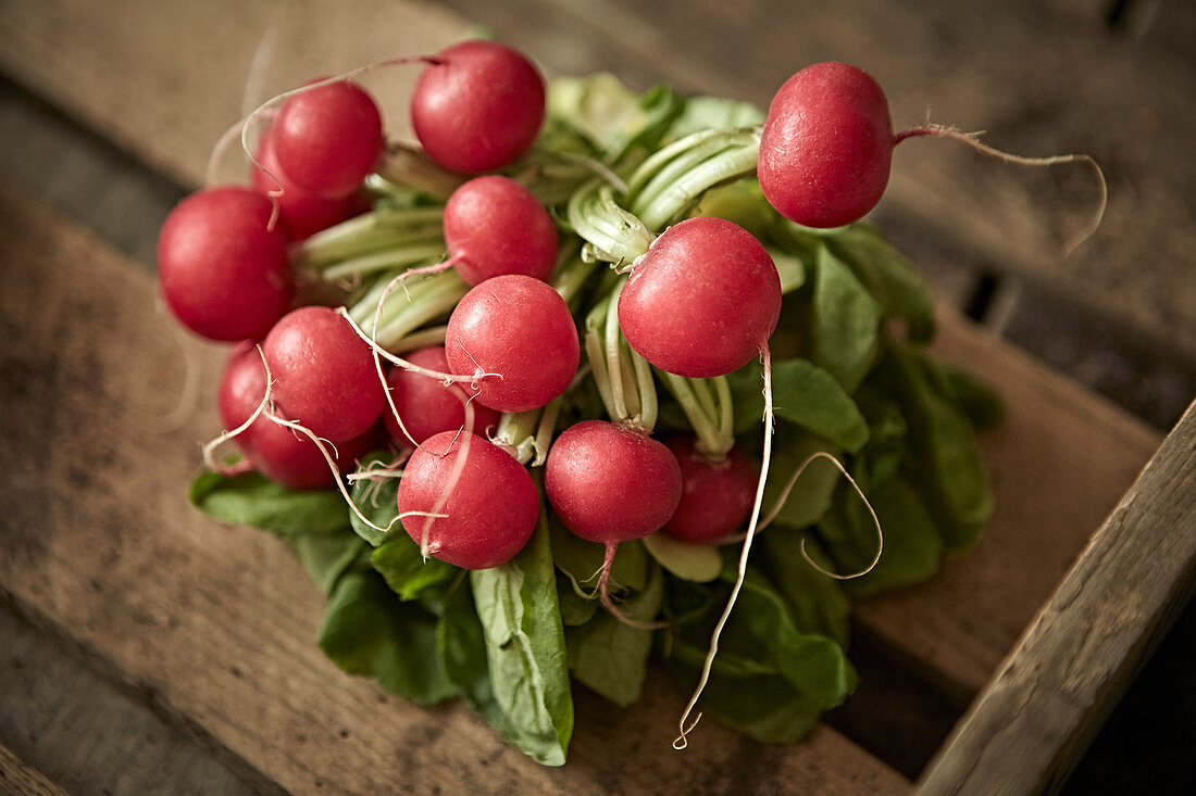 Fresh, red radishes in rustic wood crate