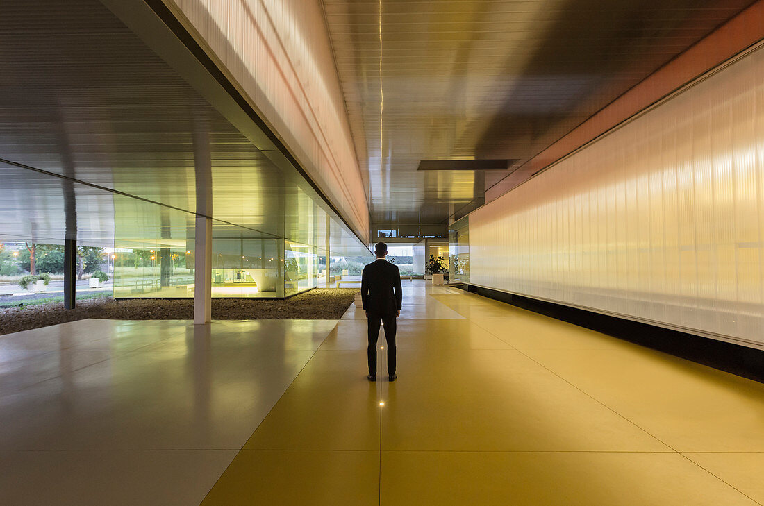 Businessman standing in office corridor