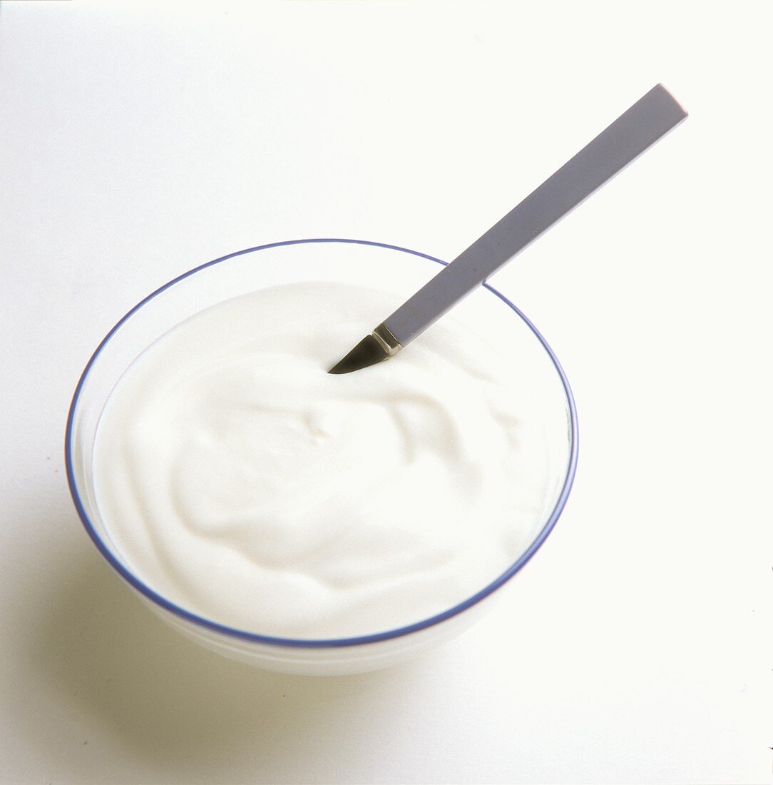 Naturjoghurt mit Löffel im Schälchen